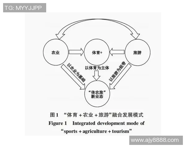 竞技体育司推动体育发展创新举措与战略规划的实施路径探索